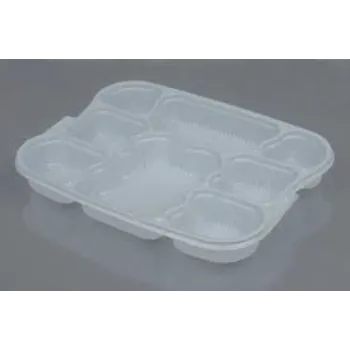 New Disposable Food Tray