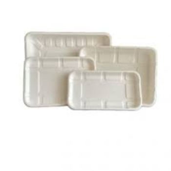 Liquid Hold Disposable Food Tray