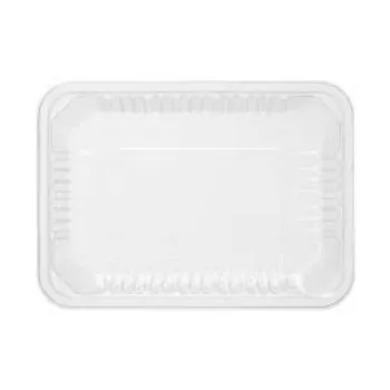 Standard Disposable Food Tray