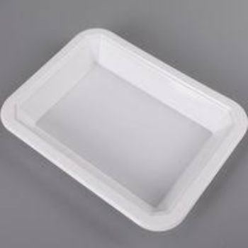White Disposable Food Tray