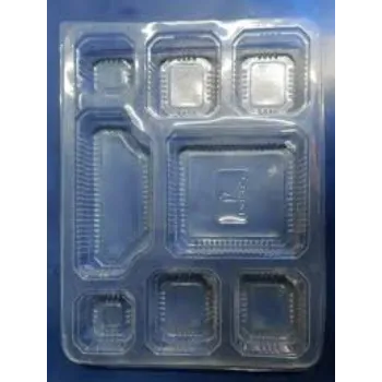 New Disposable Food Tray