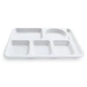 Plain Disposable Food Tray