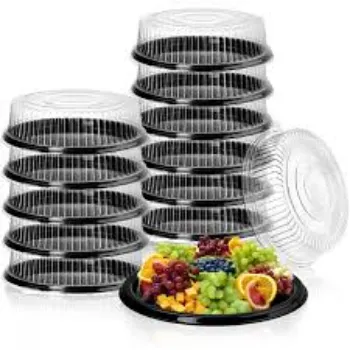 Solid Disposable Food Tray