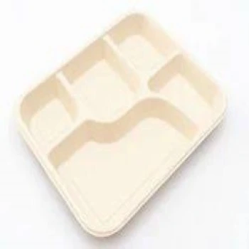 New Disposable Food Tray