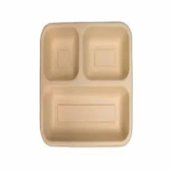 Disposable Food Tray
