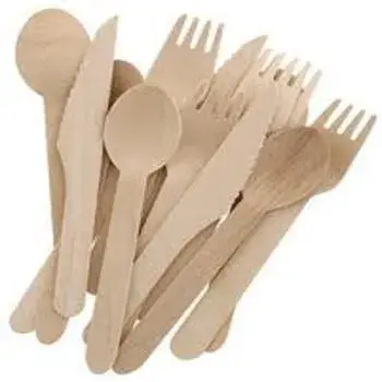 Plain Disposable Fork