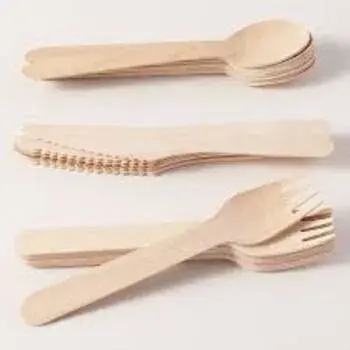 Light Weight Disposable Fork