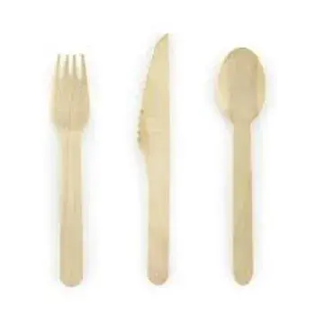 Disposable Fork
