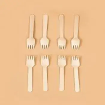 Durable Disposable Fork
