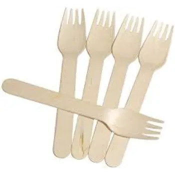 Disposable Fork