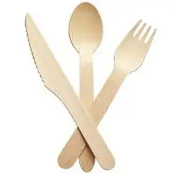 Disposable Fork