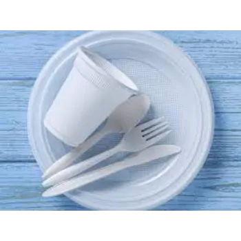 Solid Disposable Plastic Cutlery