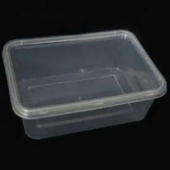 Disposable Plastic Food Container