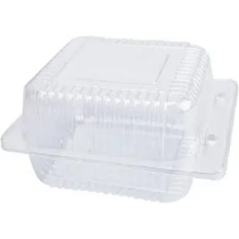  Disposable Plastic Food Container