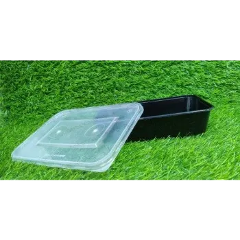 Disposable Plastic Food Container