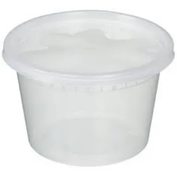 Disposable Plastic Food Container