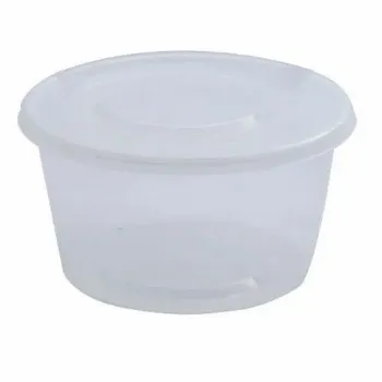  Disposable Plastic Food Container