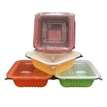 Disposable Plastic Food Container