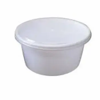 Disposable Plastic Food Container