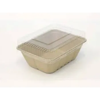 Custom Design Disposable Plastic Food Container 