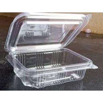 Standard Disposable Plastic Food Container