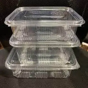 Standard Disposable Plastic Food Container