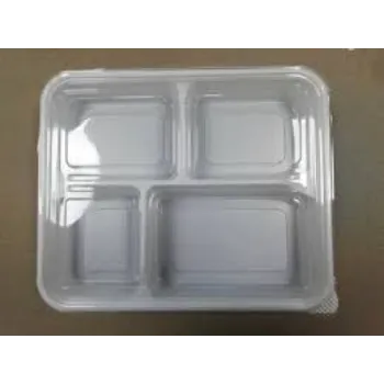 Disposable Plastic Food Container