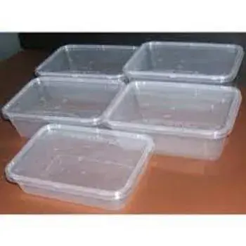 Fine Finish Disposable Plastic Food Container