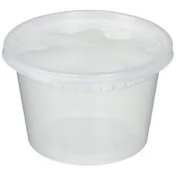 High Quality Disposable Plastic Food Container