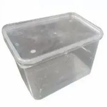 Durable Disposable Plastic Food Container