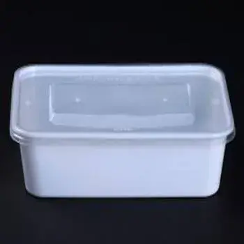 Disposable Plastic Food Container