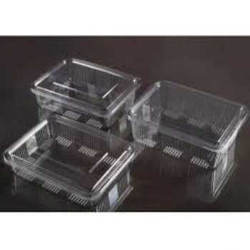 Disposable Plastic Food Container