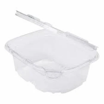Disposable Plastic Food Container