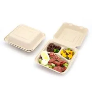 Surya Disposable Plastic Food Container