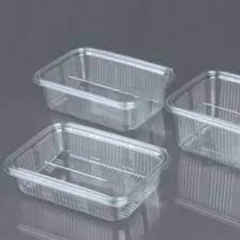Good Quality Disposable Plastic Food Container