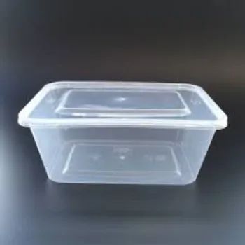 Solid Disposable Plastic Food Container