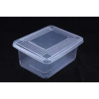 Disposable Plastic Food Container
