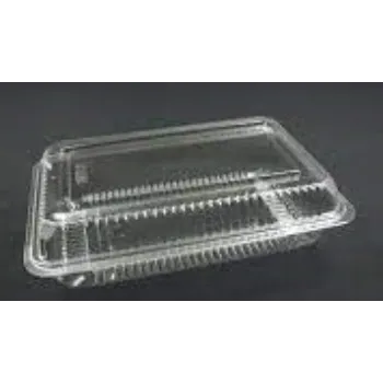Sustainable Disposable Plastic Food Container