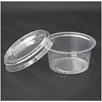 New Disposable Plastic Food Container