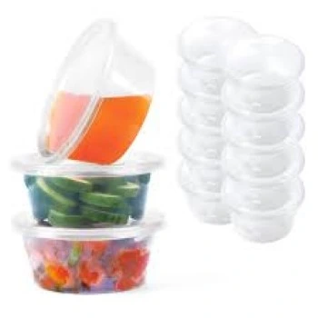 Disposable Plastic Food Container