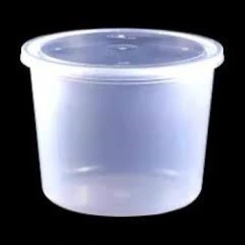 Disposable Plastic Food Container