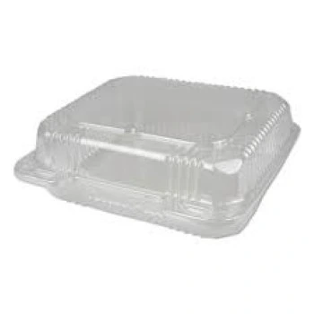 Disposable Plastic Food Container