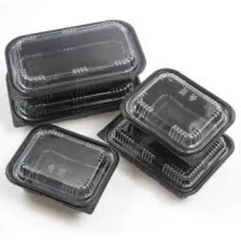 Standard Disposable Plastic Food Container