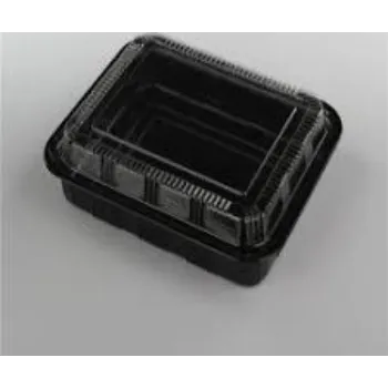 Simple Disposable Plastic Food Container