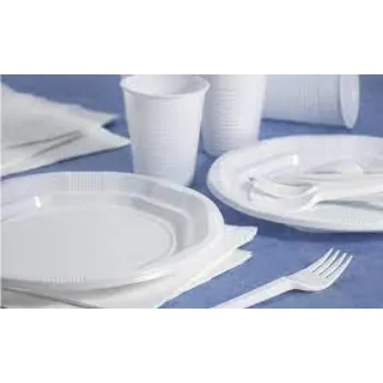  Disposable Plastic Plate