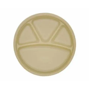 Disposable Plastic Plate