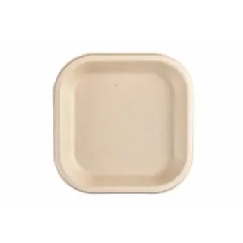  Disposable Plastic Plate