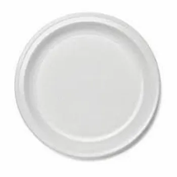  Disposable Plastic Plate