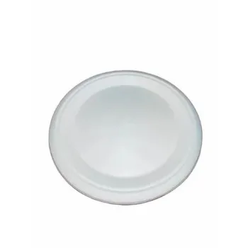  Disposable Plastic Plate