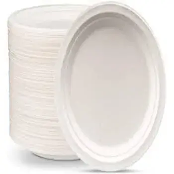 Disposable Plastic Plate